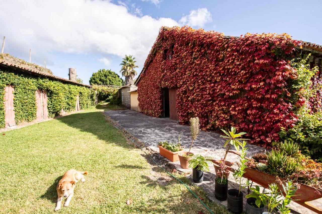 Casa Da Varzea Ponte de Lima Extérieur photo